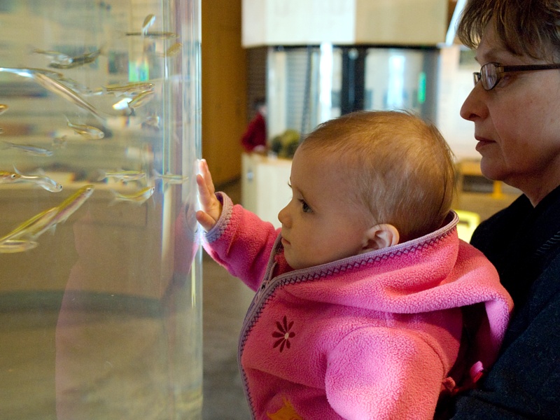 P3270935.jpg - At the aquarium. Christella loved the fish.